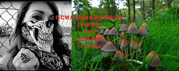 бошки Ельня