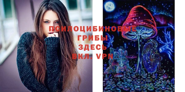бошки Ельня